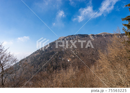 Mountain Peak of Corno d'Aquilio in Winter - Lessinia Plateau Veneto Italy Mountain Peak of Corno d'Aquilio in Winter - Lessinia Plateau Veneto Italy 75563225