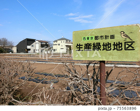 生産緑地 Productive green areas 生産緑地 Productive green areas 75563896
