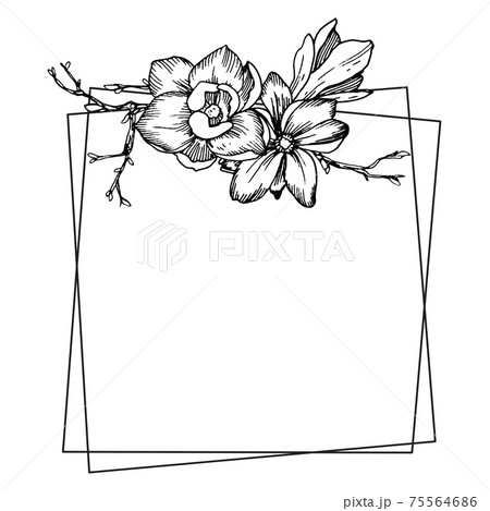 Frame with magnolia flowers, leaves and branches 75564686