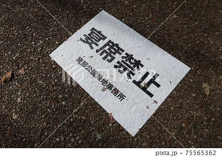 新型コロナウイルスの影響による上野恩賜公園の宴席禁止の貼紙 新型コロナウイルスの影響による上野恩賜公園の宴席禁止の貼紙 75565362