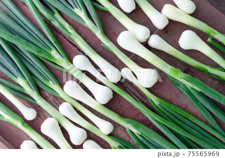 Spring fresh onion on wood background.top view Spring fresh onion on wood background.top view 75565969