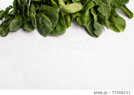 The concept of healthy eating. Spinach close-up on white background. empty space The concept of healthy eating. Spinach close-up on white background. empty space 75566231