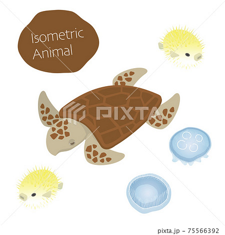 ウミガメとハリセンボンとクラゲのアイソメイラストのイラスト素材