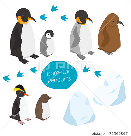 可愛い親子のペンギンのアイソメイラストのイラスト素材