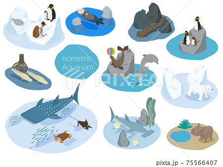 水族館にいる可愛い海の生き物たちのアイソメイラストのイラスト素材
