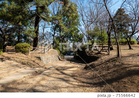 岩槻城の本丸跡 埼玉県さいたま市 岩槻城の本丸跡 埼玉県さいたま市 75566642