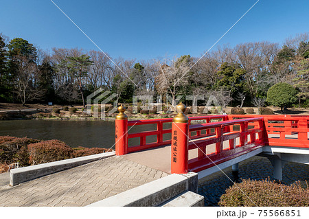 岩槻城址公園の池と八つ橋 埼玉県さいたま市 岩槻城址公園の池と八つ橋 埼玉県さいたま市 75566851