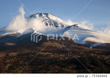 水ヶ塚公園からの春の富士山 75566866