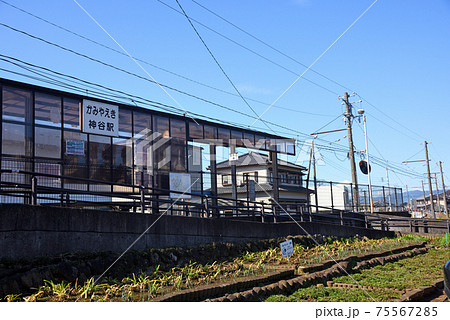 富士山の見える岳南電車 富士山の見える岳南電車 75567285