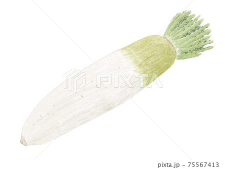 大根 75567413