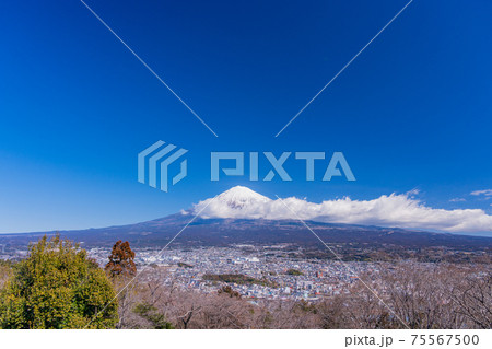 （静岡県）富士宮の白尾山（しらおさん）公園から望む富士山 75567500