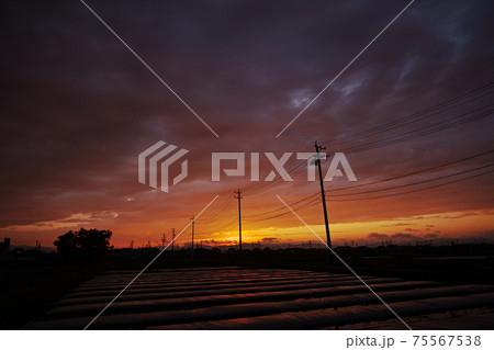夕焼け空と連なる電柱のシルエット 75567538