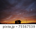 夕焼け空と木のシルエット 75567539