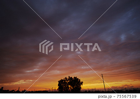 夕焼け空と木のシルエット 75567539