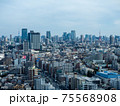 東京　新宿 75568908