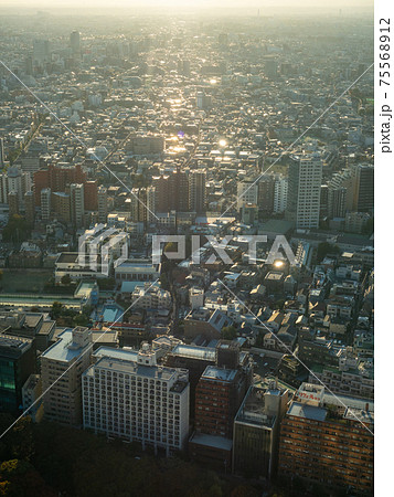 東京　新宿 75568912