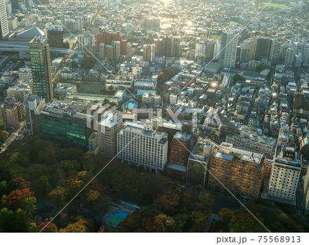 東京　新宿 75568913