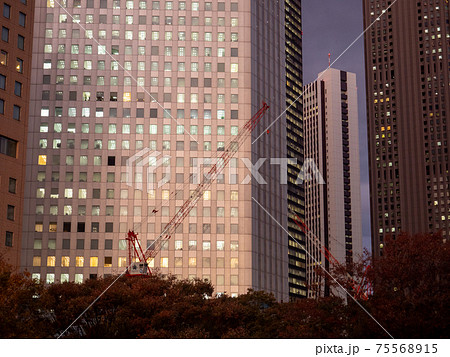 東京　新宿 75568915