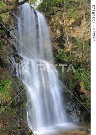 【福井県】越前海岸の入日ヶ滝 75569322