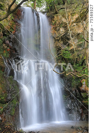 【福井県】越前海岸の入日ヶ滝 75569327