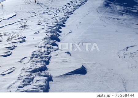 雪山イメージ　シュカブラ 75569444