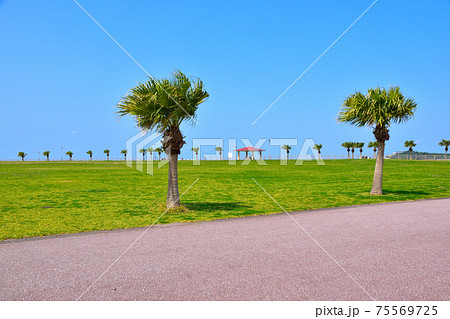 豊崎海浜公園 豊崎海浜公園 75569725