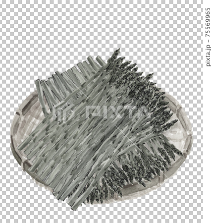 ザルにのせたグリーンアスパラガス 春野菜 水墨画風水彩 素材 白背景 コピースペースありのイラスト素材 75569965 Pixta