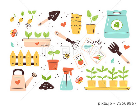 Seeds and seedlings. Germination of sprouts. Tools, pots and soil for planting 75569967