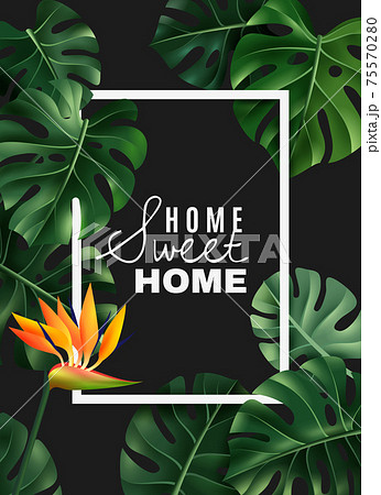 Realistic House Plant Frame Background 75570280