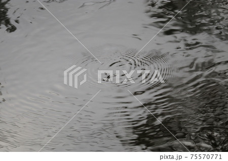 アメンボ アメンボ 75570771