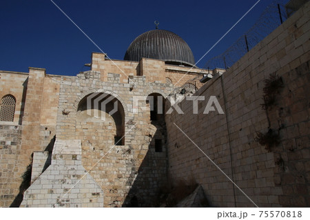 南の壁考古学博物館 75570818