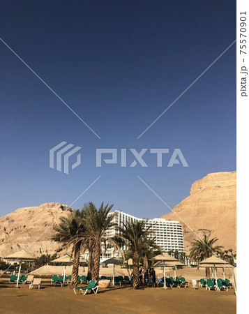 死海のホテル 死海のホテル 75570901