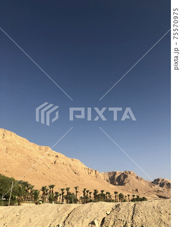 死海付近の山 75570975