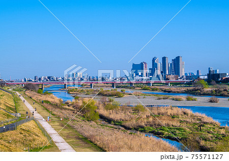 日本の川崎都市景観　晴天に恵まれた多摩川や武蔵小杉のタワーマンション群などを望む 75571127