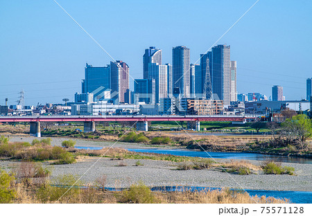 日本の川崎都市景観 晴天に恵まれた多摩川や武蔵小杉のタワーマンション群などを望む 日本の川崎都市景観 晴天に恵まれた多摩川や武蔵小杉のタワーマンション群などを望む 75571128