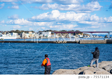 三崎港　富士山　城ヶ島　海　漁港　観光　旅行　漁船　三浦半島　ドライブ　デート　釣り　磯釣り　磯 75571134
