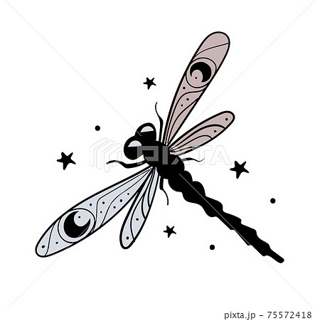 Black And White Outline Dragonfly Tattoos Design