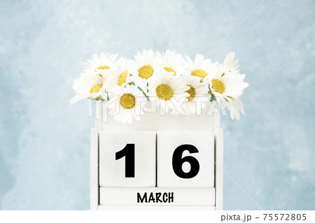 cube calendar for March with daisy flowers over blue with copy space cube calendar for March with daisy flowers over blue with copy space 75572805
