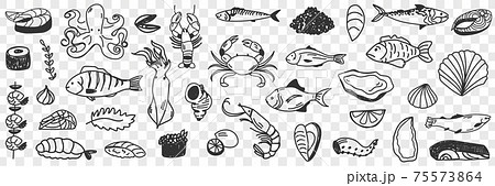 Seafood and fish doodle set 75573864