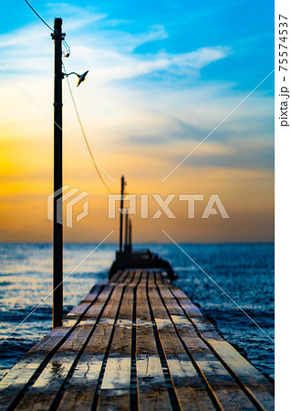 夏 千葉 白浜 空 海岸 浜 砂浜 ビーチ 海 波 南房総 雲 南房総市 桟橋 午後 夜 夏 千葉 白浜 空 海岸 浜 砂浜 ビーチ 海 波 南房総 雲 南房総市 桟橋 午後 夜 75574537