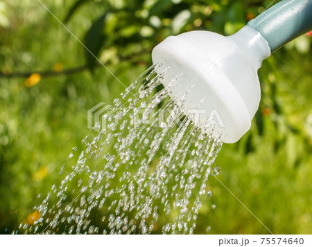 Close-up water pouring from a watering can. 75574640