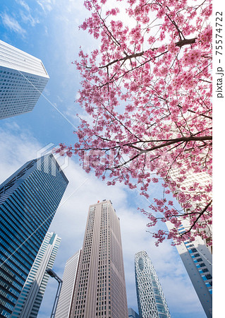桜が咲く春の東京都市風景 75574722