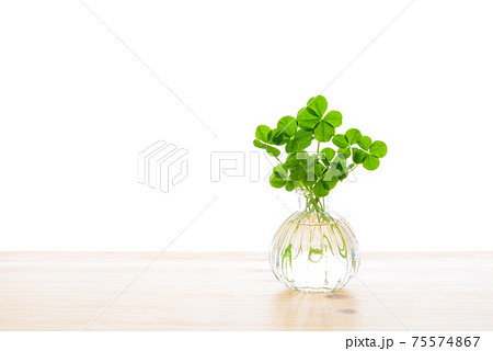 豊富なギフト クローバー花瓶 - インテリア小物