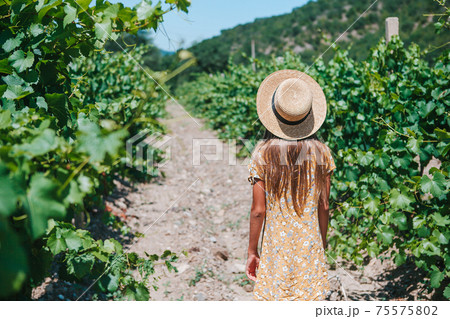 Woman in the vineyard in sun day 75575802