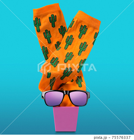 a pair of orange socks with a pattern of cacti, growing out of a pink flowerpot, beside sunglasses, a funny vacation and travel concept 75576337