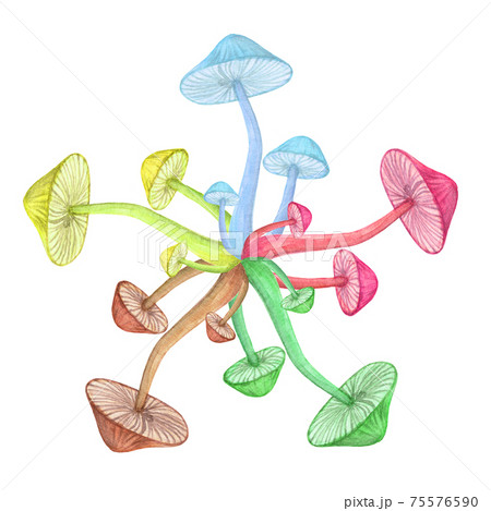 Toadstool circle hippie concept isolated on white background 75576590