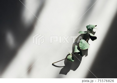 Greeting panorama in pastel colored. 75576826