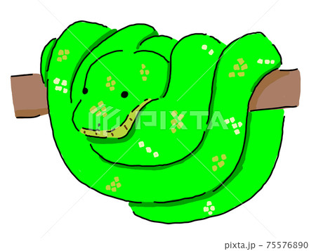 エメラルドツリーボアのイラスト素材