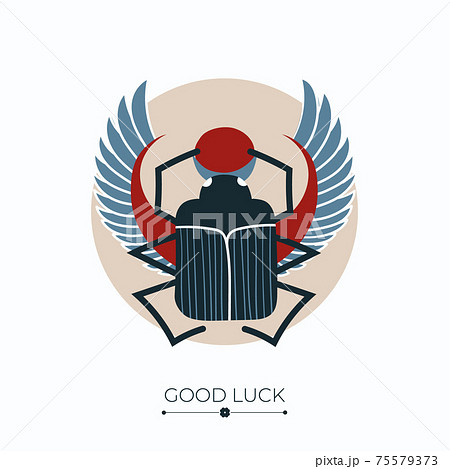 Scarab lucky charm Scarab lucky charm 75579373