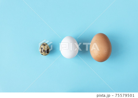 Three type of different birds eggs isolated on blue paper background. Various size and kind choice concept. Quail, egg and turkey eggs nutrients comparison. Segregation and equlty 75579501